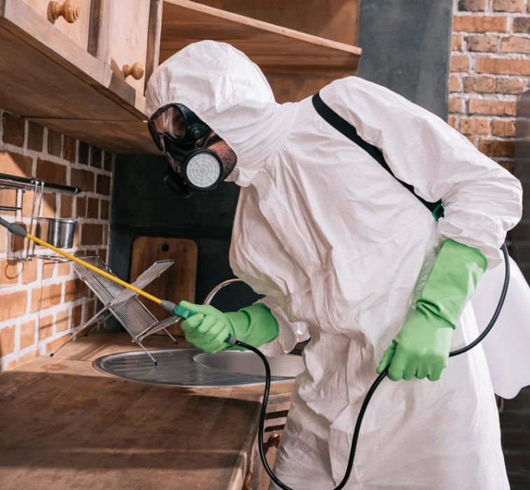 Miami Pest Control U bug me Pest Control